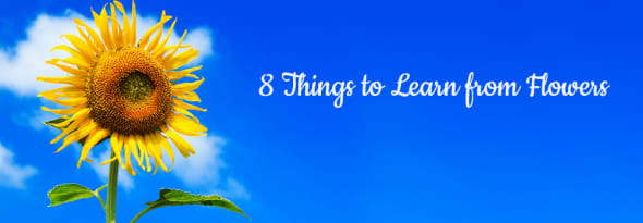 8 Things to Learn from Flowers